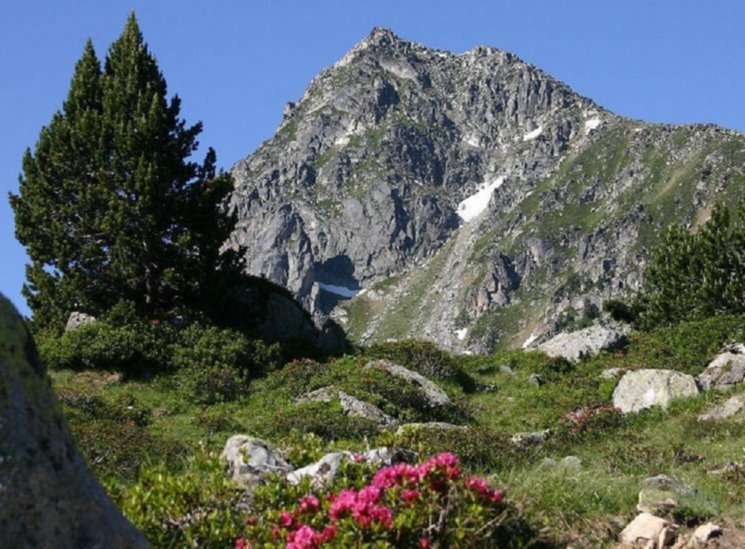 Alpine Meadows in Andorra in the Pyrenees