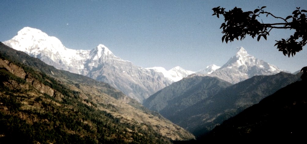 Annapurna South Peak, Hiunchuli and Mount Macchapucchre ( Fishtail Mountain )