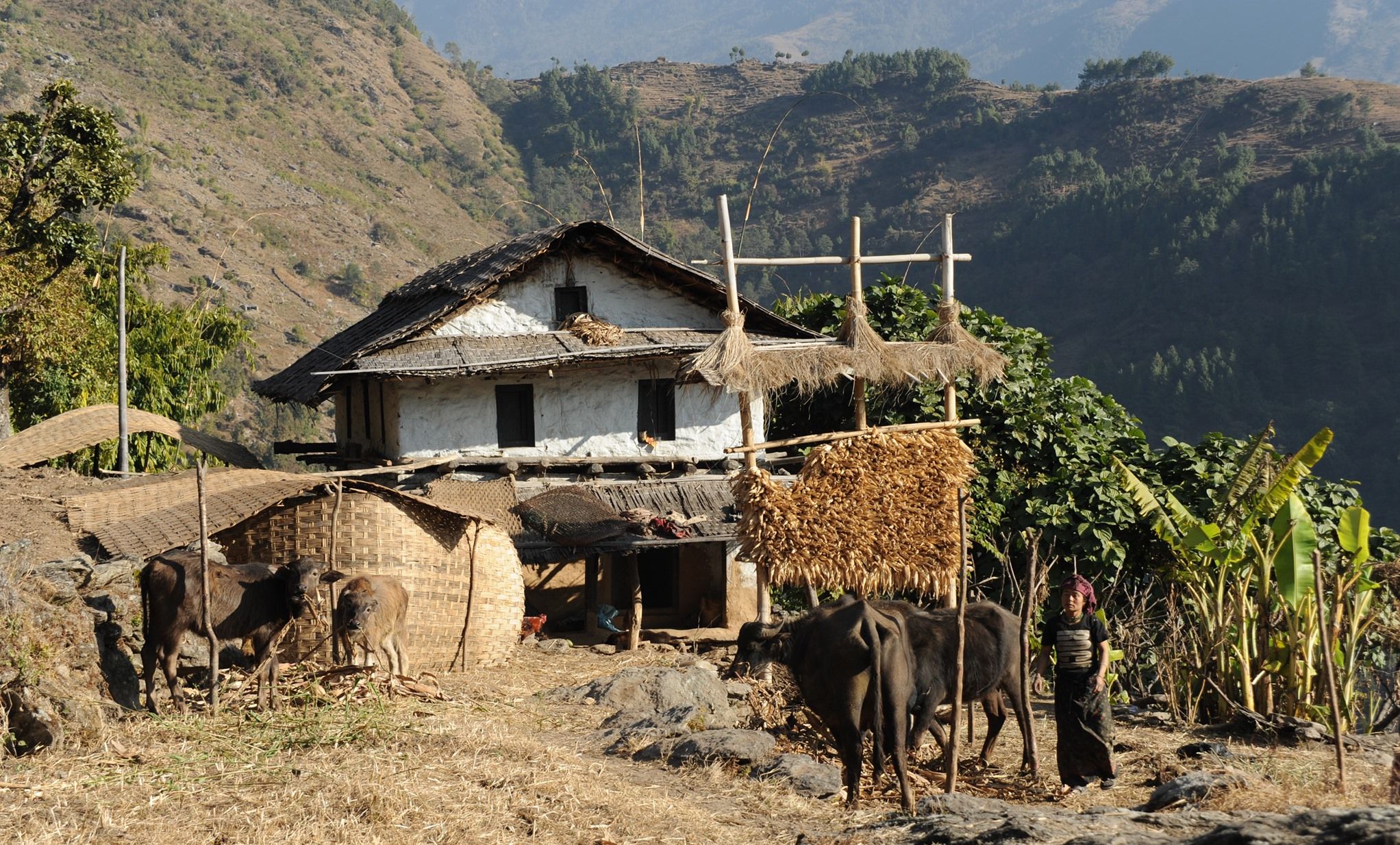 Farmhouse in Bung