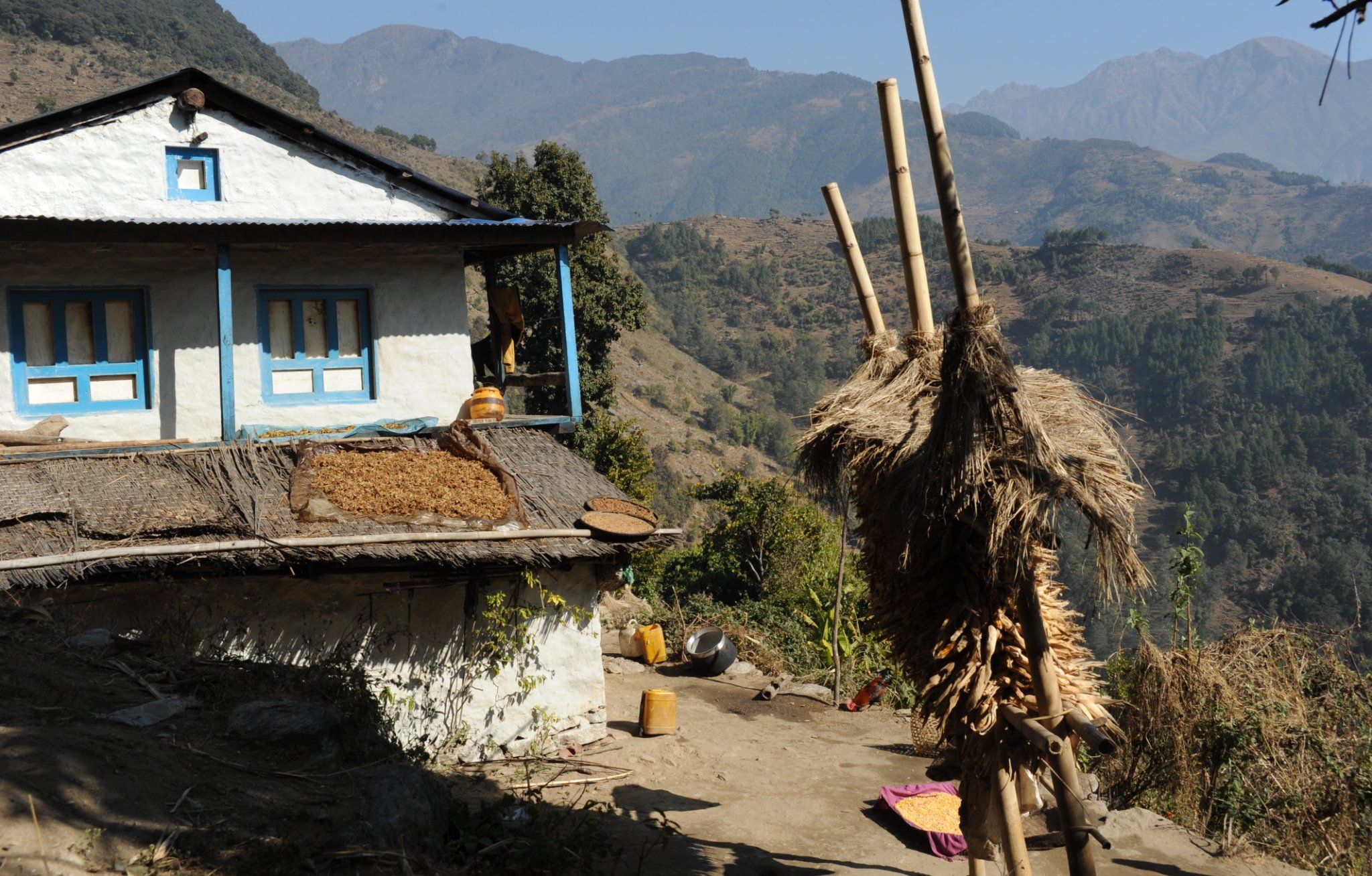 Farm in Bung