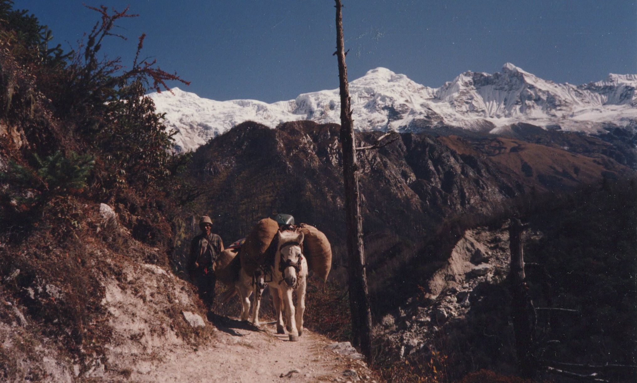 Mount Manaslu from the North-West