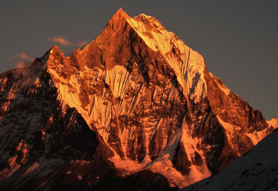 Sunset on Mount Macchapucchre ( the Fishtail Mountain )