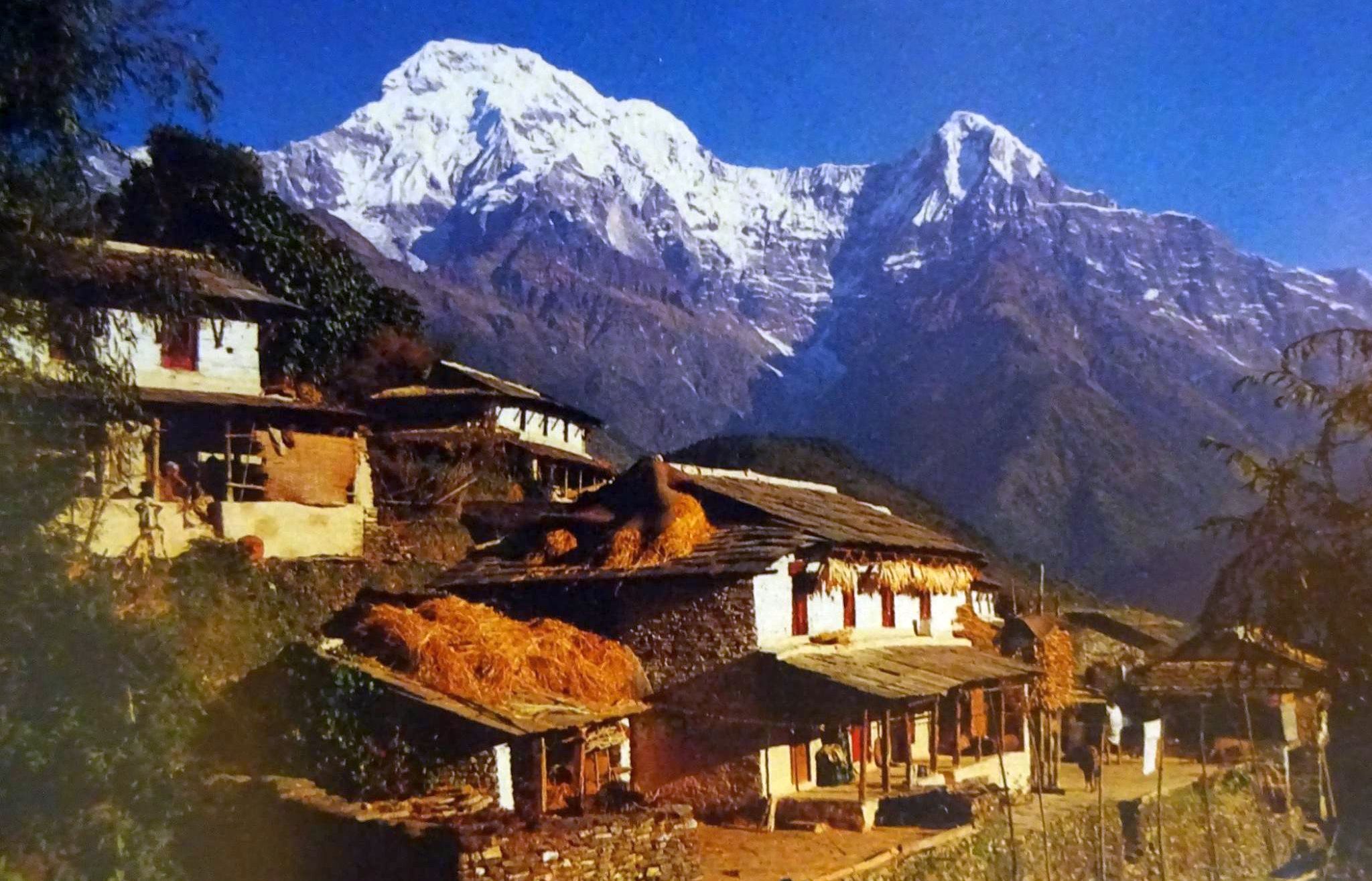 Annapurna South Peak and Hiunchuli from Gandrung ( Ghandruk ) Village