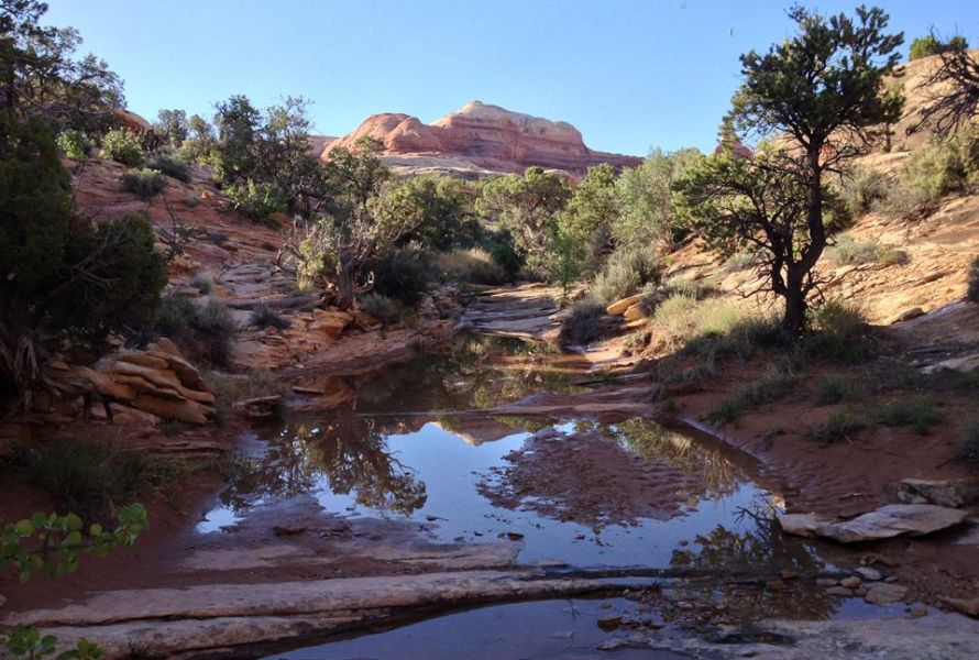 Needles District of Canyonlands National Park - trail from Elephant Hill to Chesler Park