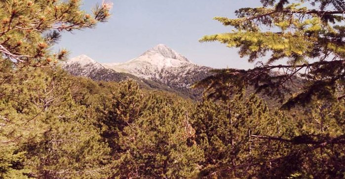 Profitis Illias in the Taygettos Mountains in the Peloponnese of Greece