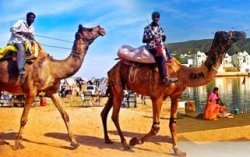 http://www.pushkar-fair.net