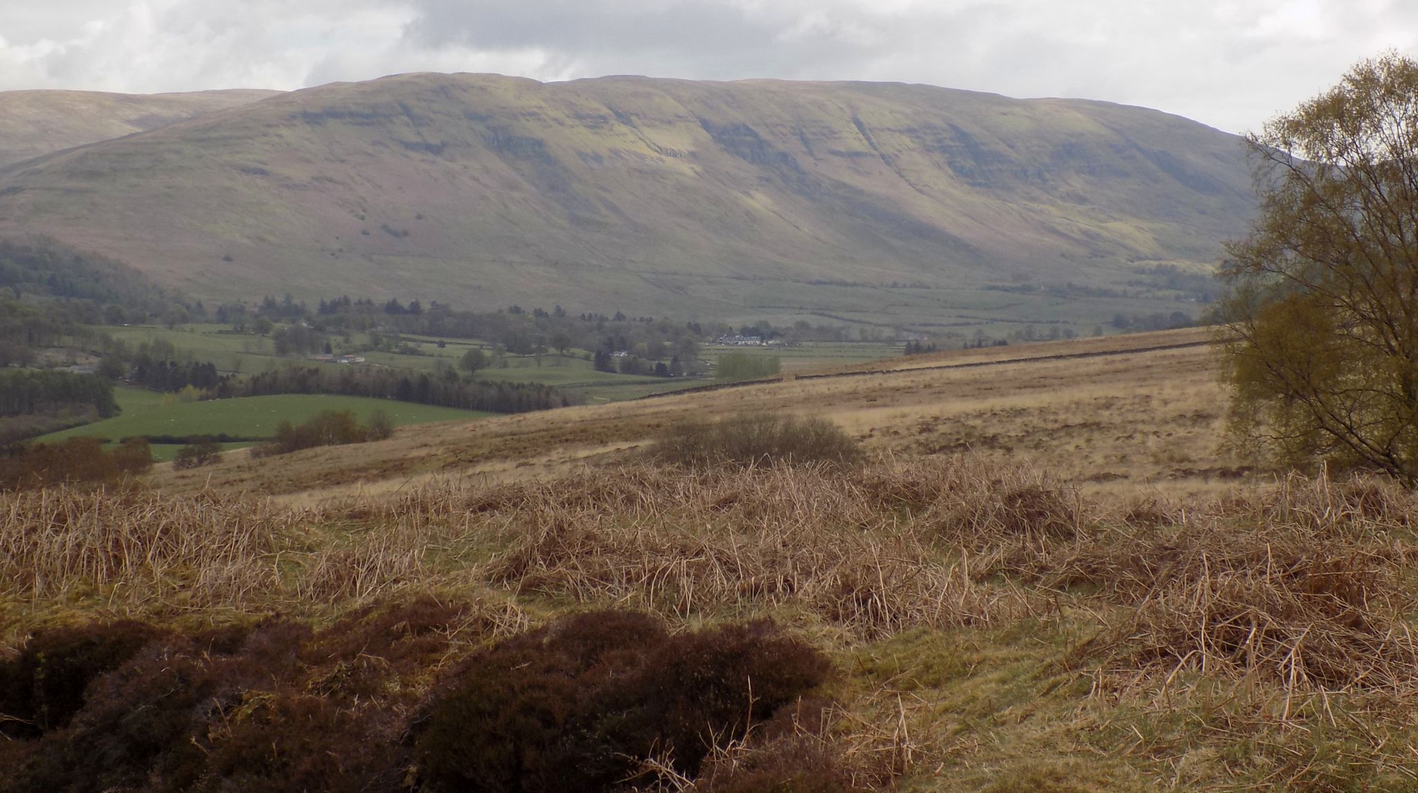 Campsie Fells from above Ardinning Loch