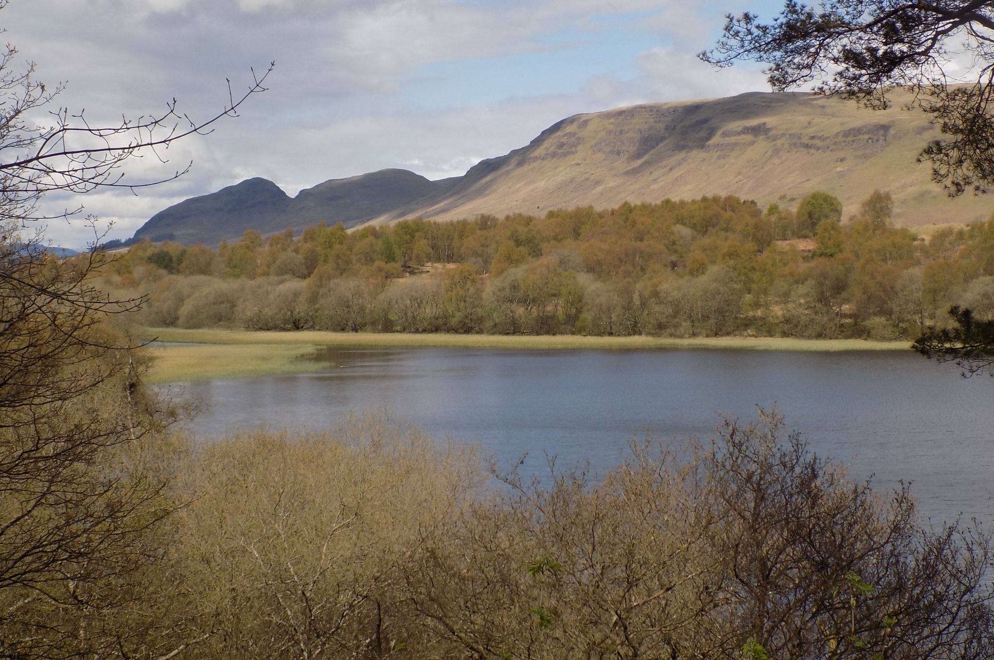 Dumgoyne and Campsie Fells from Ardinning Loch