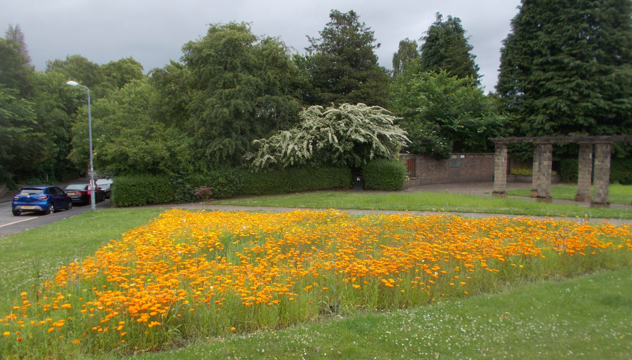 Flower Bed in Bearsden