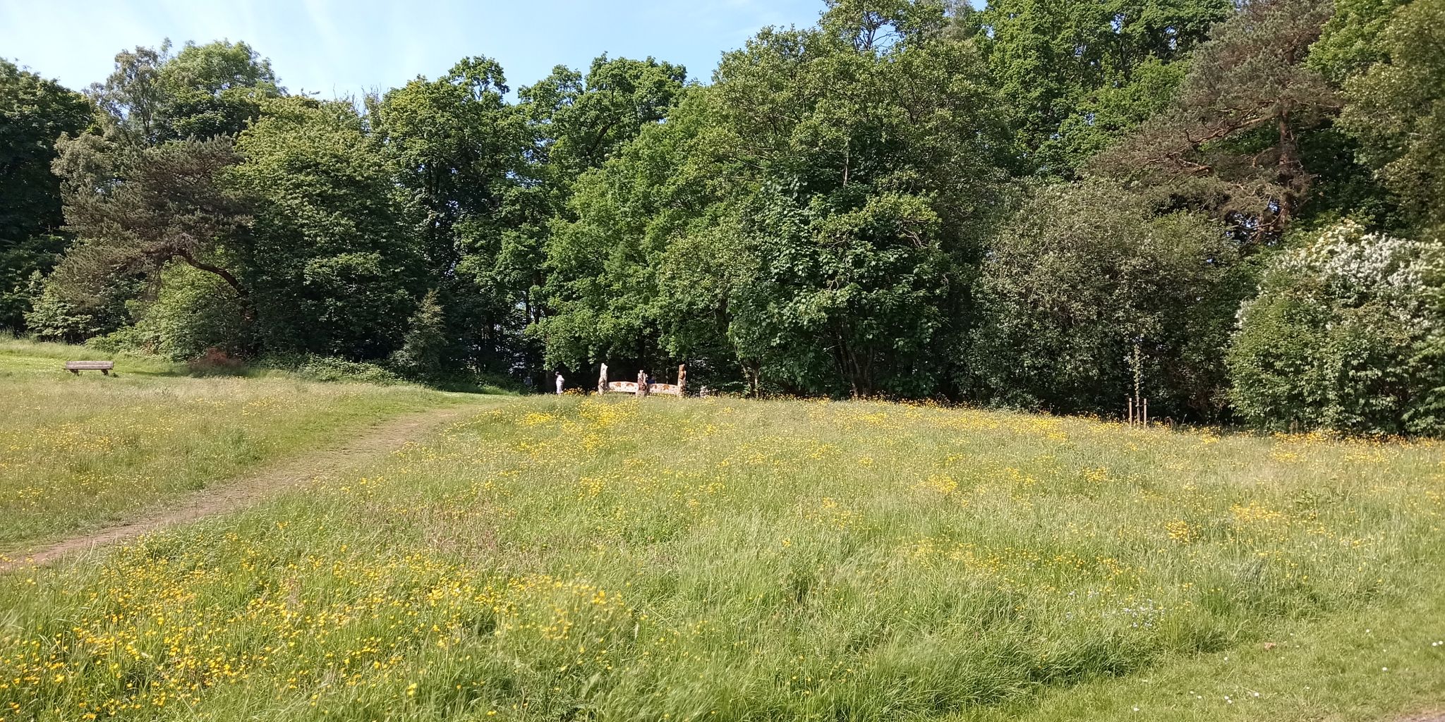 Field and Forest at Kilmardinny Loch