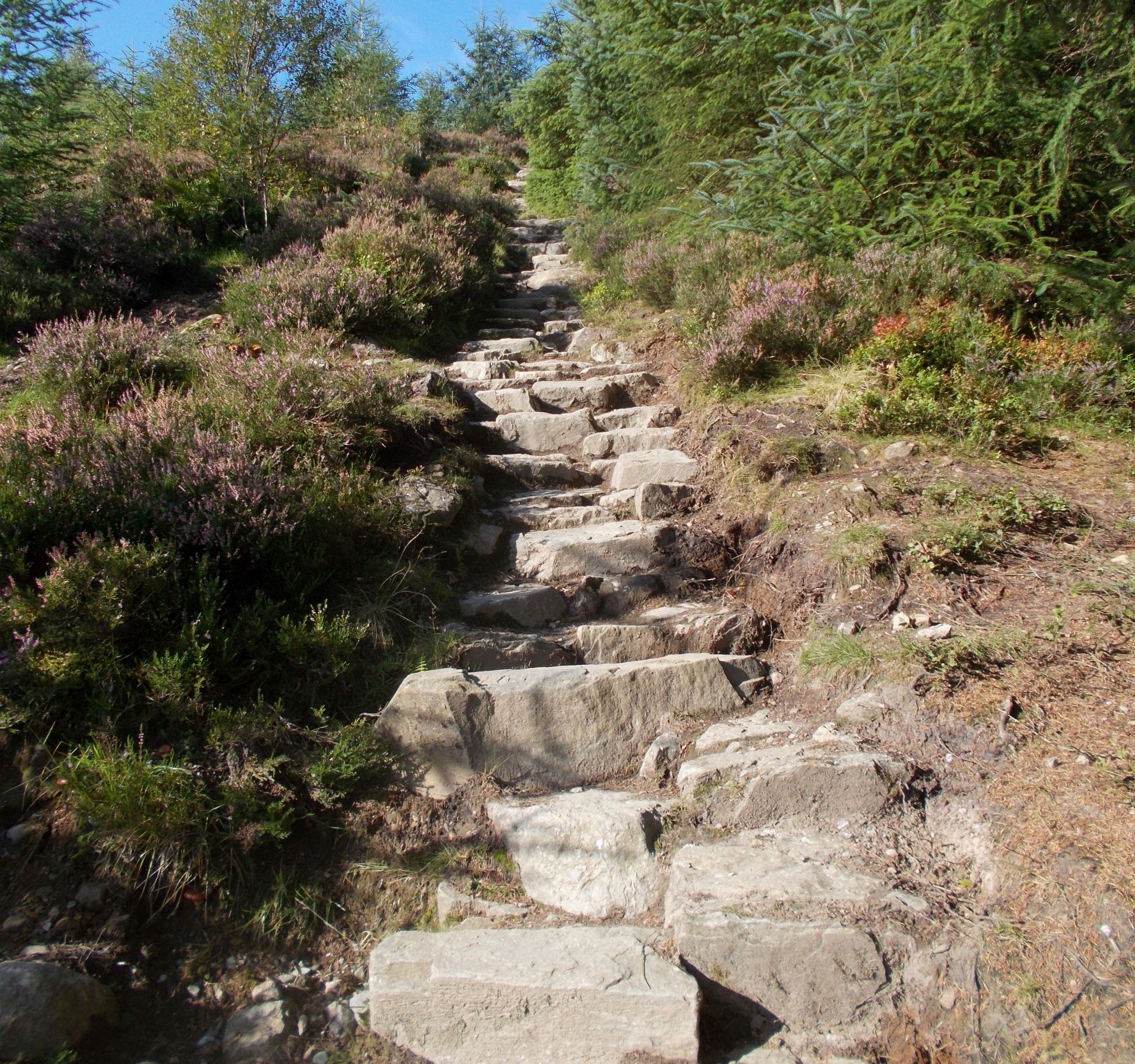 Stone stairway on Ben Ledi