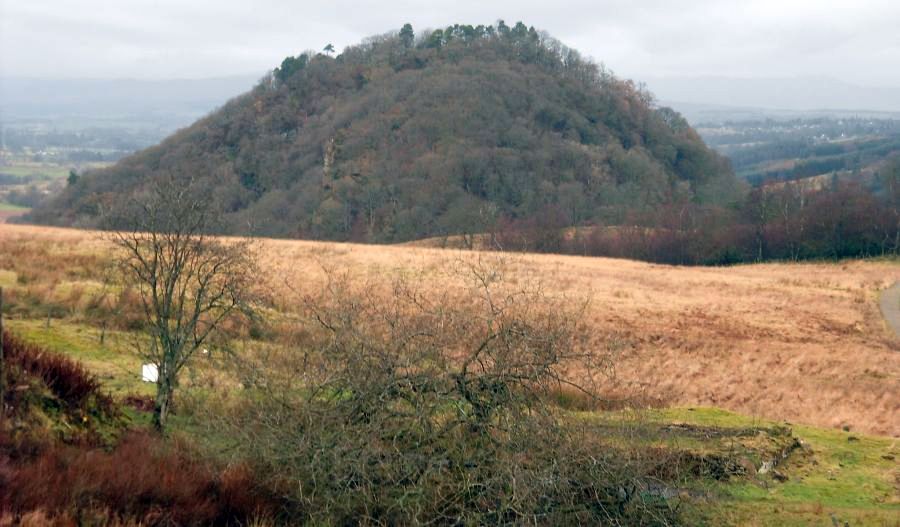 Dumgoyach Hill from the West Highland Way from Carbeth to Dumgoyne Distillery