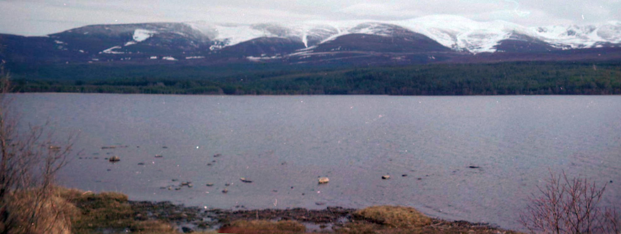 Loch Morlich in the Cairngorms of Scotland