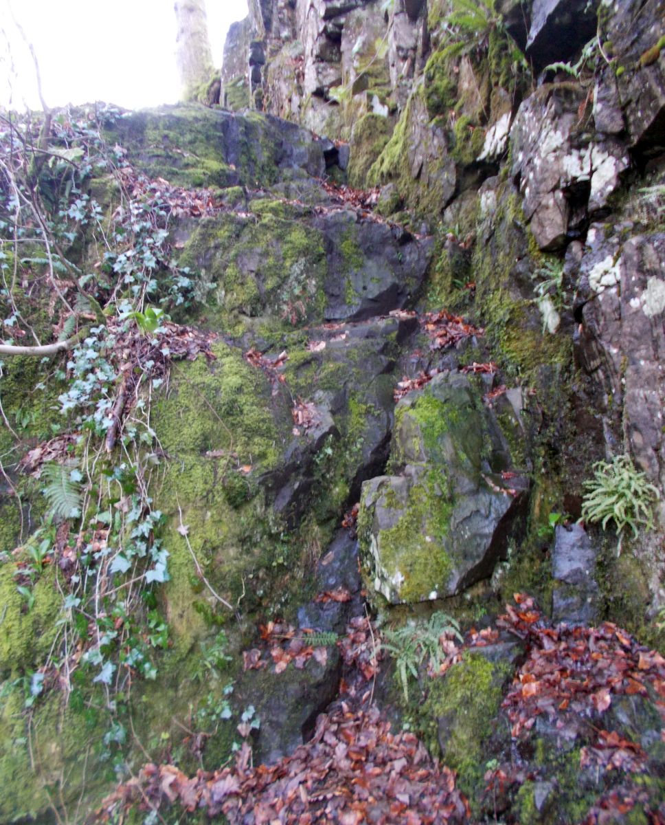 Route up rock face in Campsie Glen