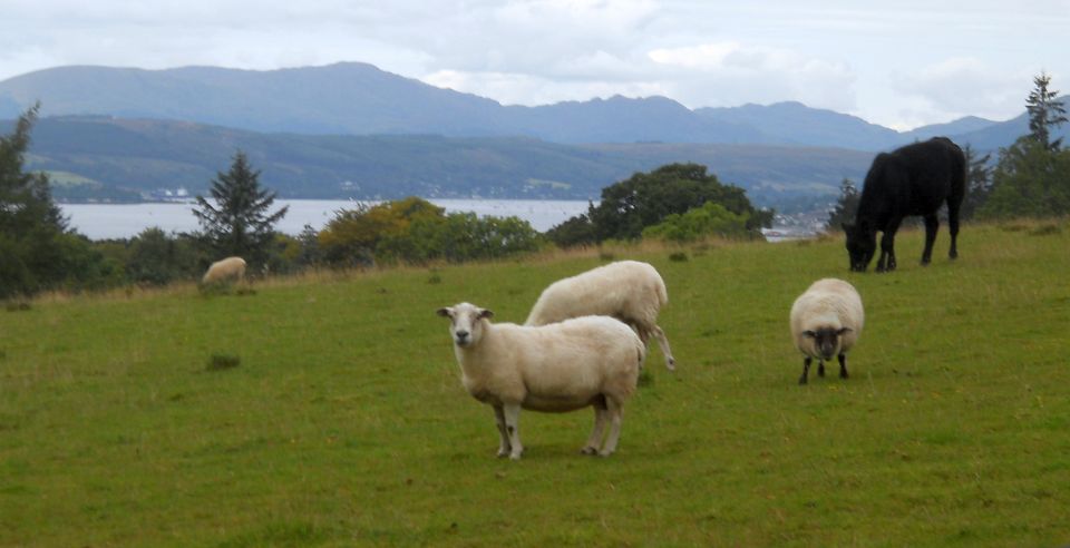 On descent along Red Road from Ben Bowie to Cardross