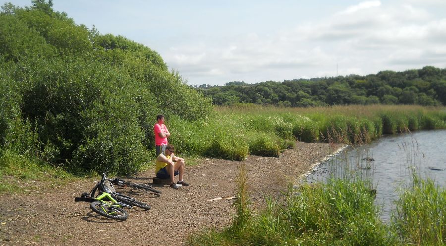 Beach at Blackditch Bay on Castle Semple Loch