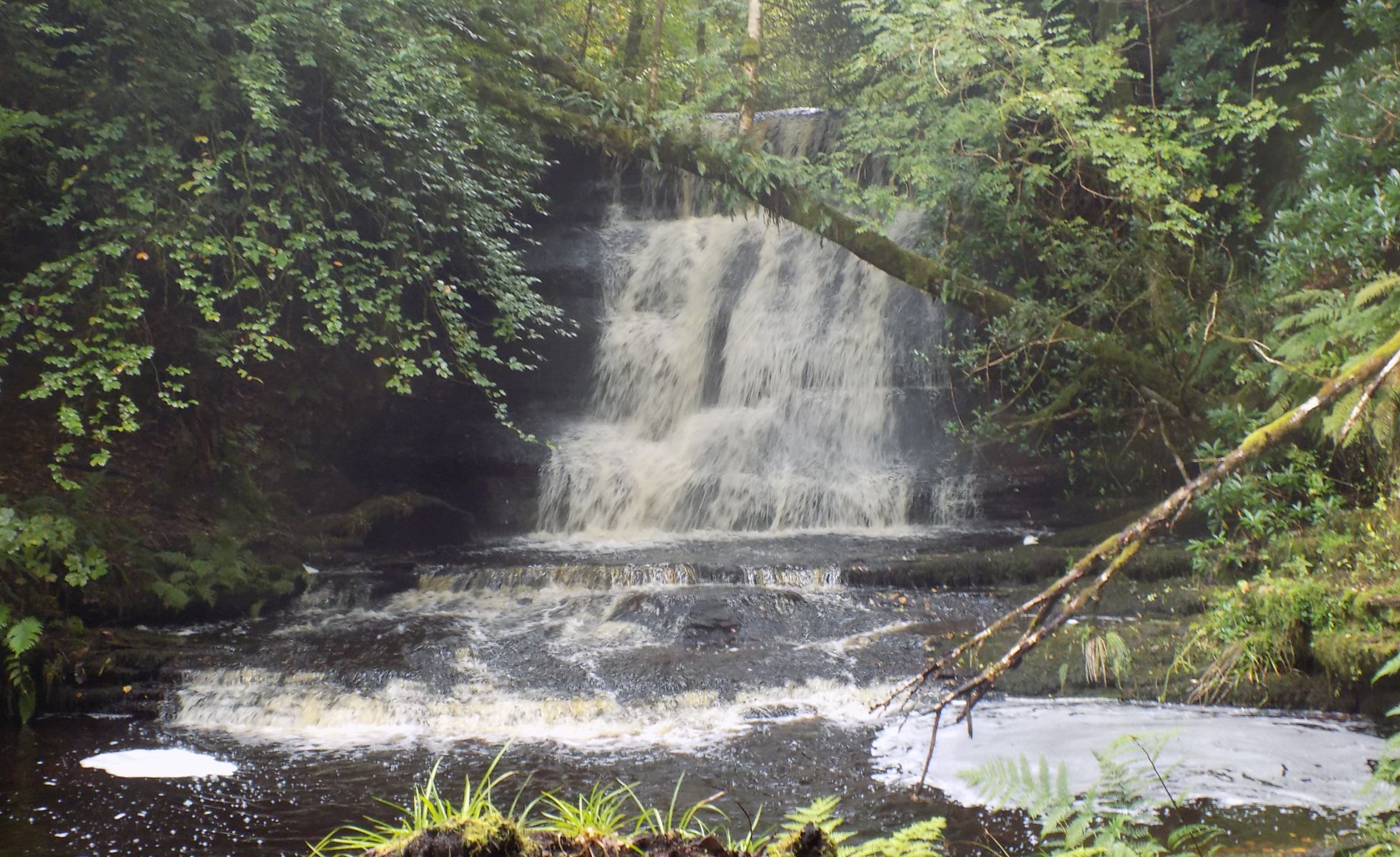 Dualt Spout in Dualt Glen