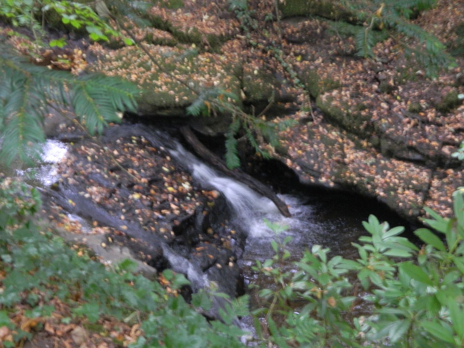 Waterfall on  Kilmahew Burn