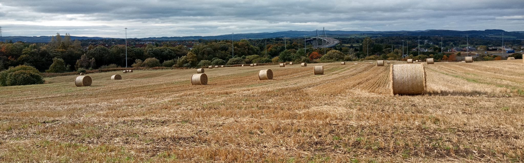 Hay Bales in field on Clyde Coastal Path