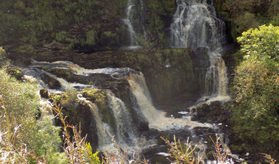 Fintry Loup on the Endrick Water