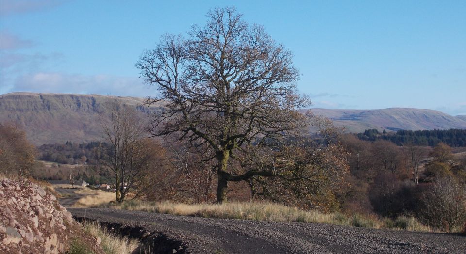 The Campsie Fells