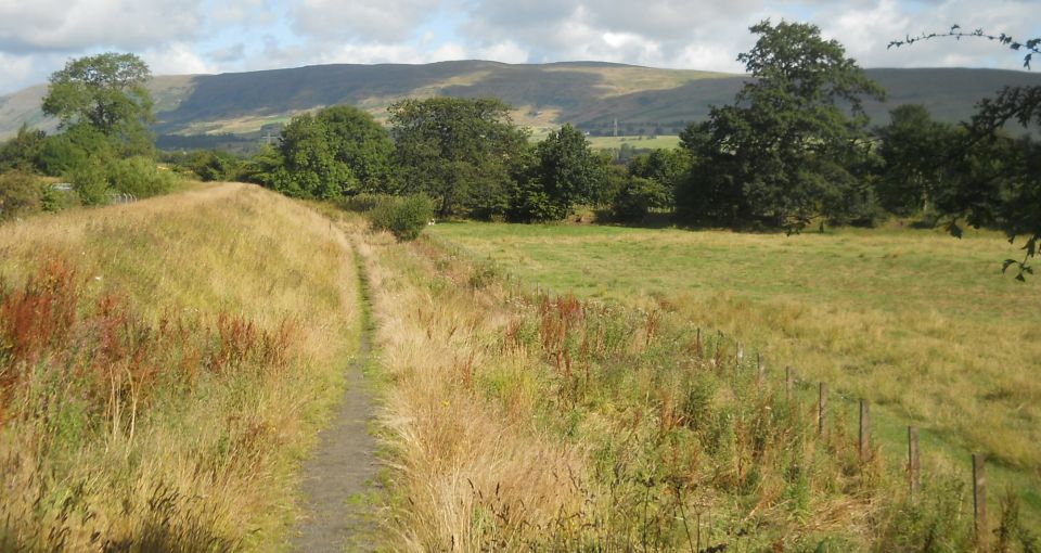 Signpost on the Strathkelvin Railway Path