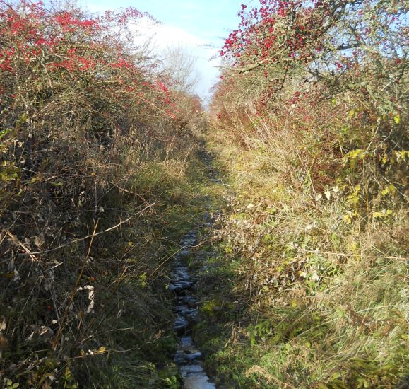 Lennoxtown beneath Cort-ma Law on the Campsie Fells