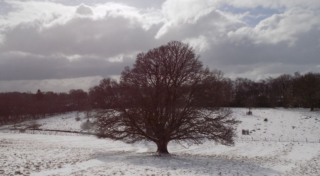 Mugdock Country Park