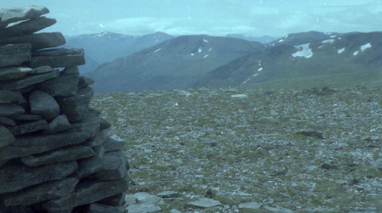 Tom a' Choinnich and Toll Creagach in Glen Affric