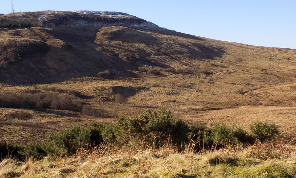 Auchineden Hill from Quinlochmore on Quinloch Muir