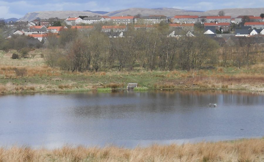 Campsie Fells from Robroyston Park