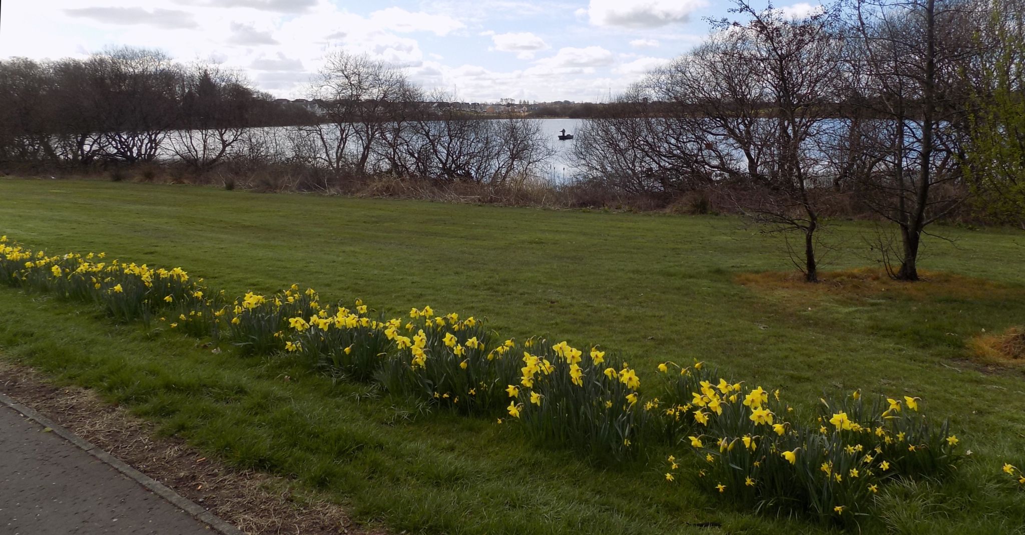 Johnston Loch at Gartcosh