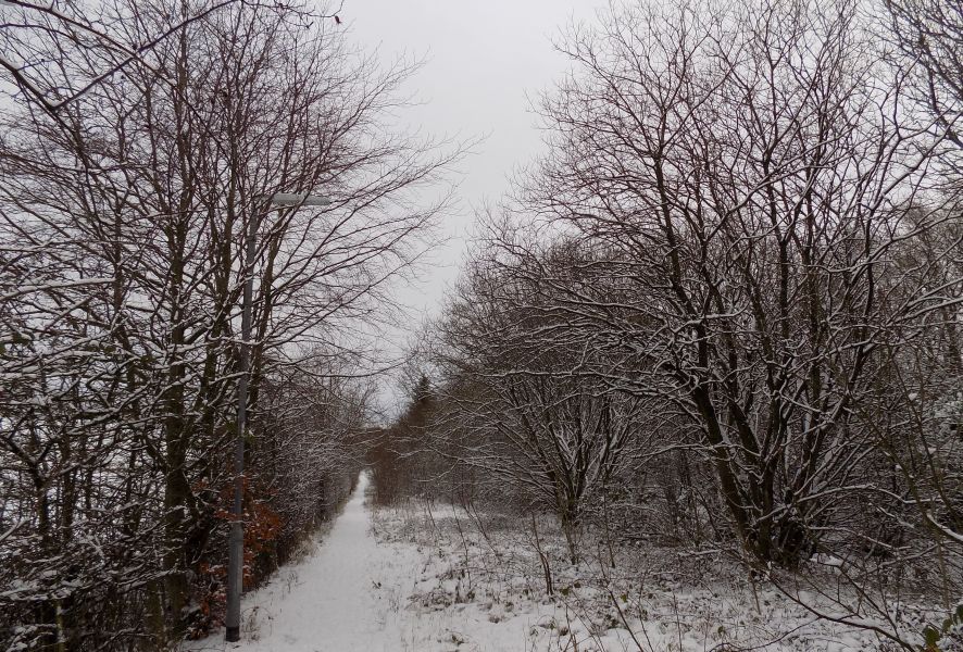 Lane alongside Craigdhu Road