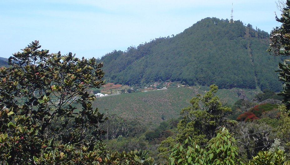 View from Mount Pedro