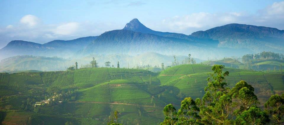 Adam's Peak in the Hill Country of Sri Lanka