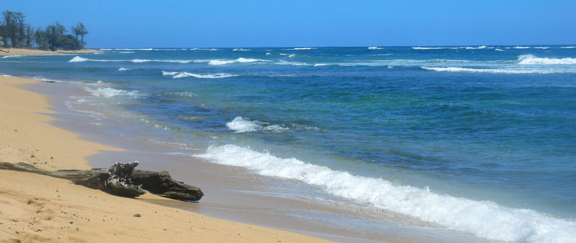 Hawaii Beach