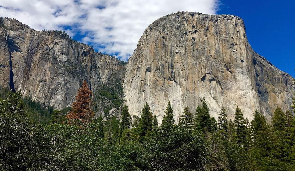 El Capitan in Yosemite Valley